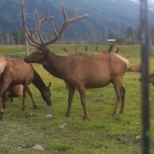 Meet your Posher, William